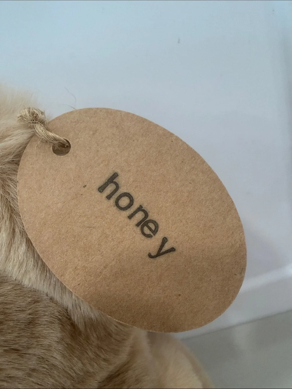 Honey J Plush Bear Bag in Light Brown - Kids Accessories